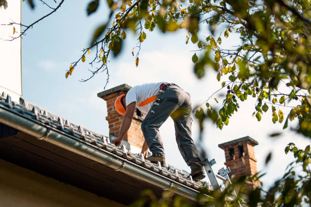Best Gutter Installation and Roofing  in Cherokee, NC
